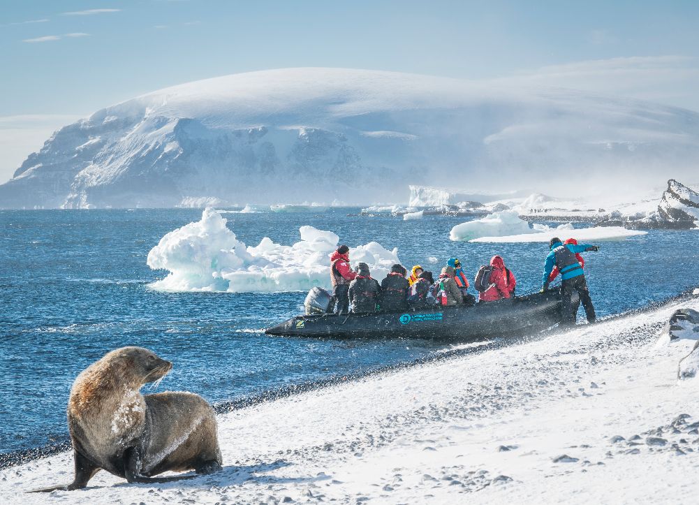People in zodiac boat near icebergs with seals on snowy shore